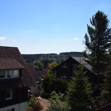 Ferienwohnung Schimmer Wurmbergblick ブラウンラーゲ エクステリア 写真